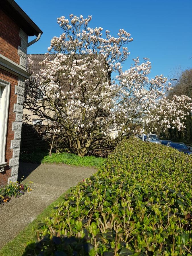Gartenblick Oldemburgo Exterior foto